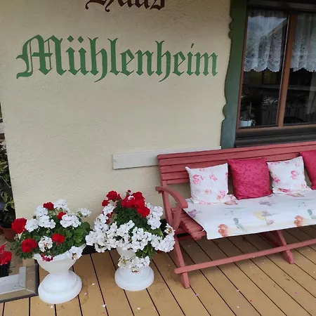 Haus Muehlenheim 슈벤다우