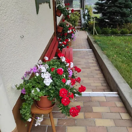 Haus Muehlenheim 펜션 *