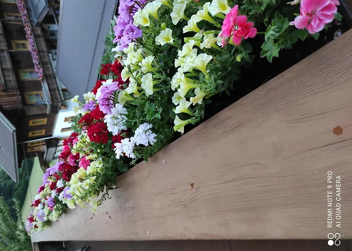 Haus Muehlenheim 度假居