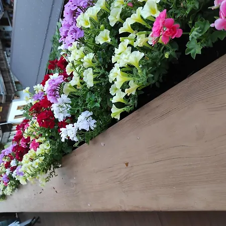 Haus Muehlenheim 度假居