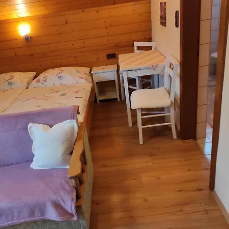 Haus Muehlenheim 펜션 *