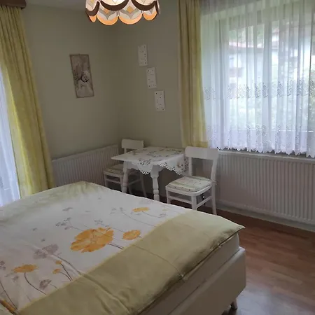 Haus Muehlenheim 펜션